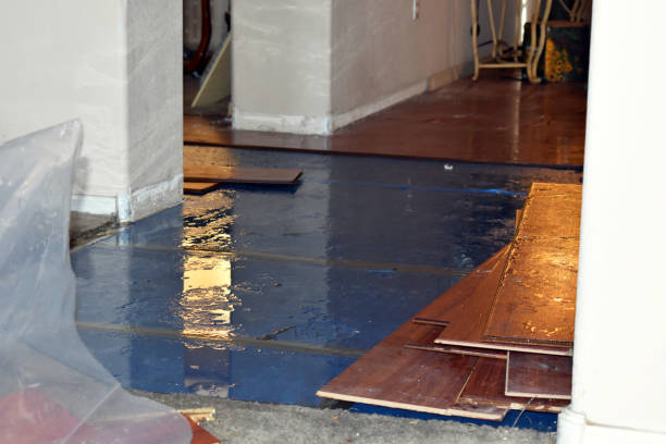 Professional Water Damage Restoration technician working in Cloverdale, OH